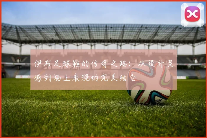 伊布足球鞋的传奇之路：从设计灵感到场上表现的完美结合