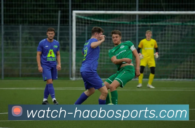 好博体育平台服务体系